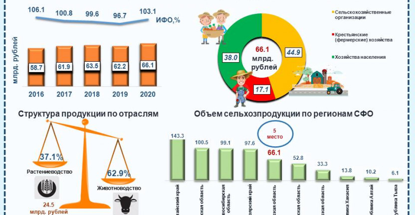 Объем продукции сельского хозяйства в Иркутской области за 2020 год